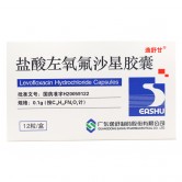 逸舒甘 盐酸左氧氟沙星胶囊