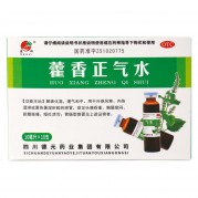 藿香正气水(玻璃瓶德辉)