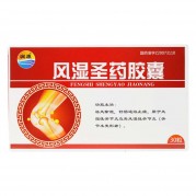 风湿圣药胶囊