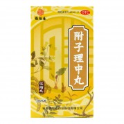 张恒春 附子理中丸(浓缩丸)(OTC)